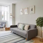Concha Suite Brand New & Style