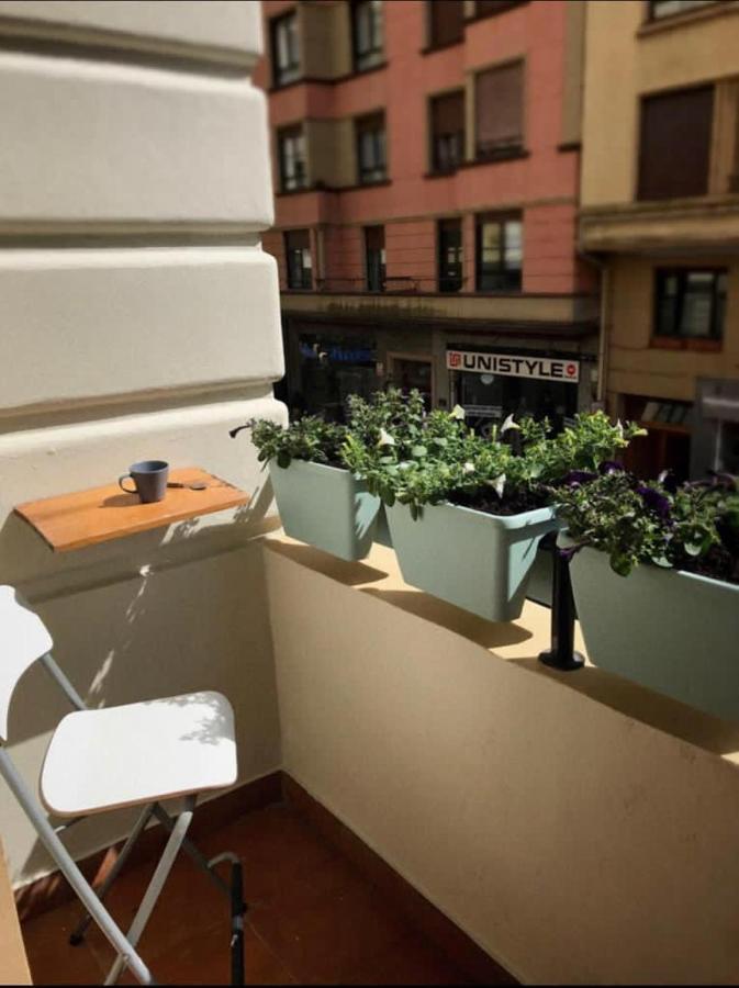 Cabernet Sauvignon Apartment. Surf San Sebastian