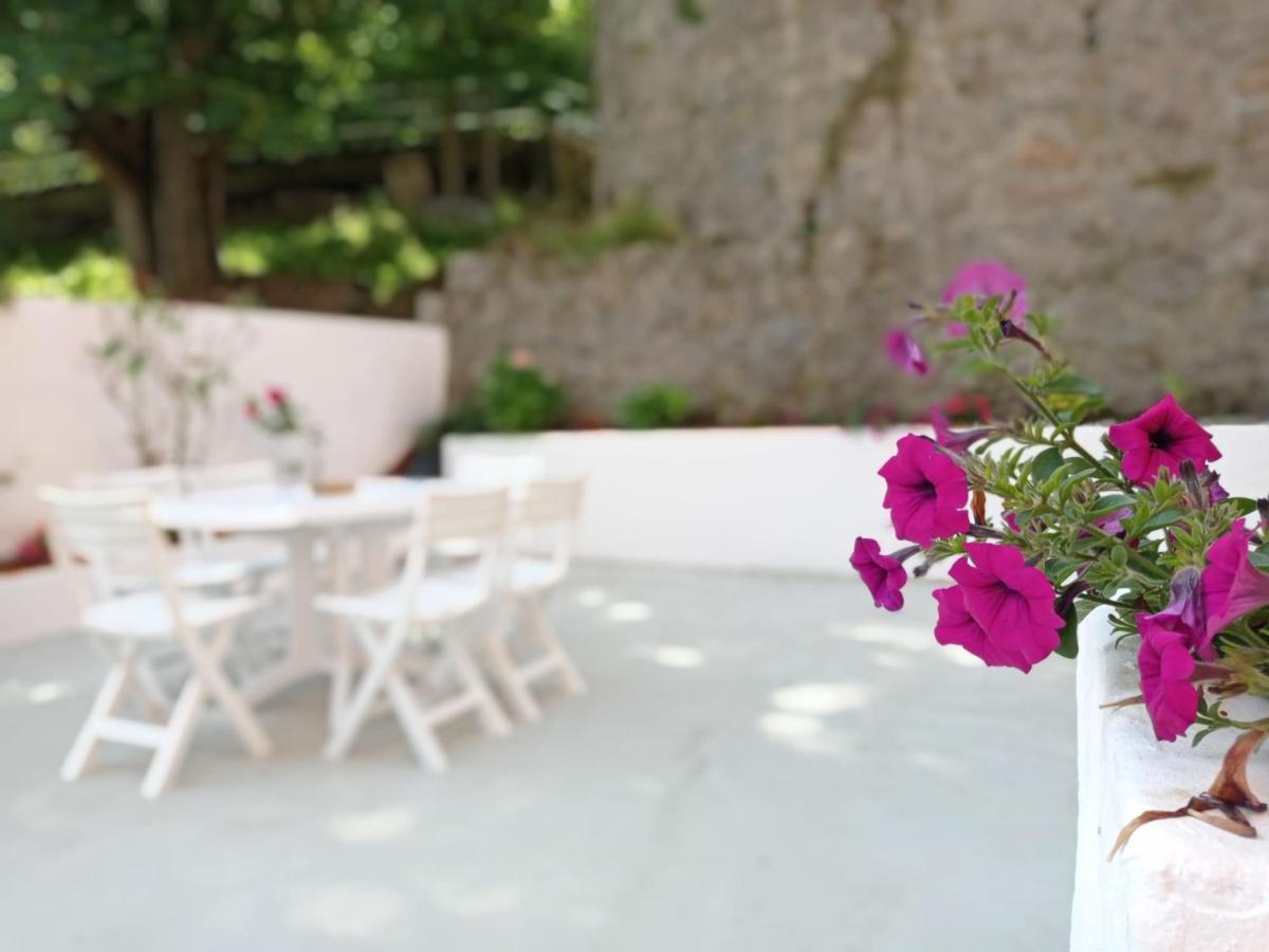 Apartment Easo Terrace Free Private Parking And Air Conditioning San Sebastian