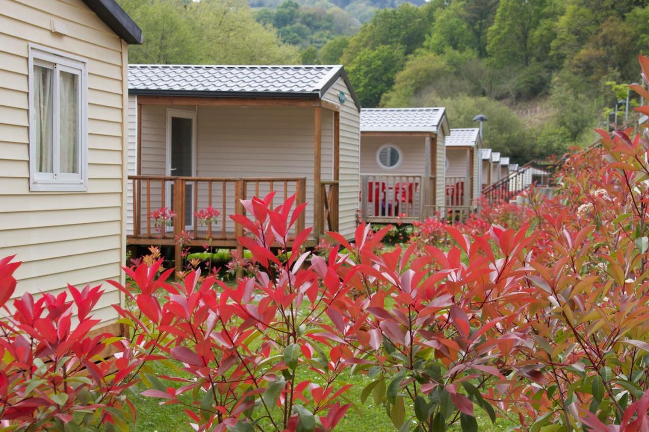 Campsite Camping Igara De 2*
