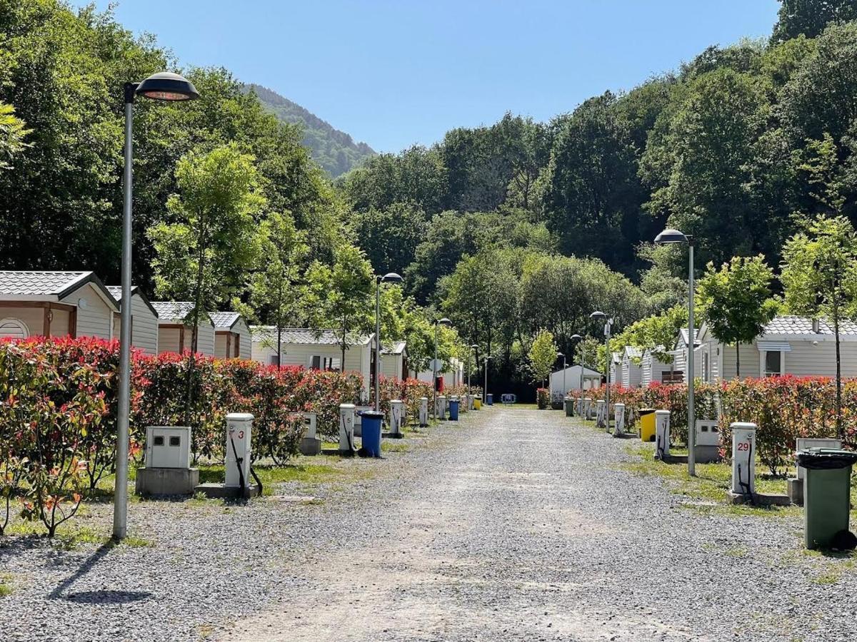 Campsite Camping Igara De
