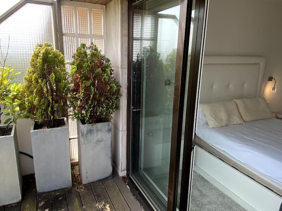 Avenida Vt - Vivienda Turistica San Sebastian