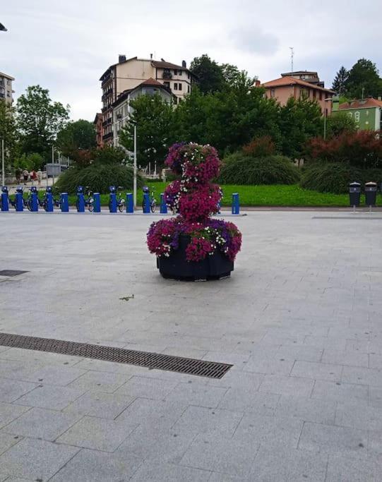 Funcional Y Acogedor * San Sebastian