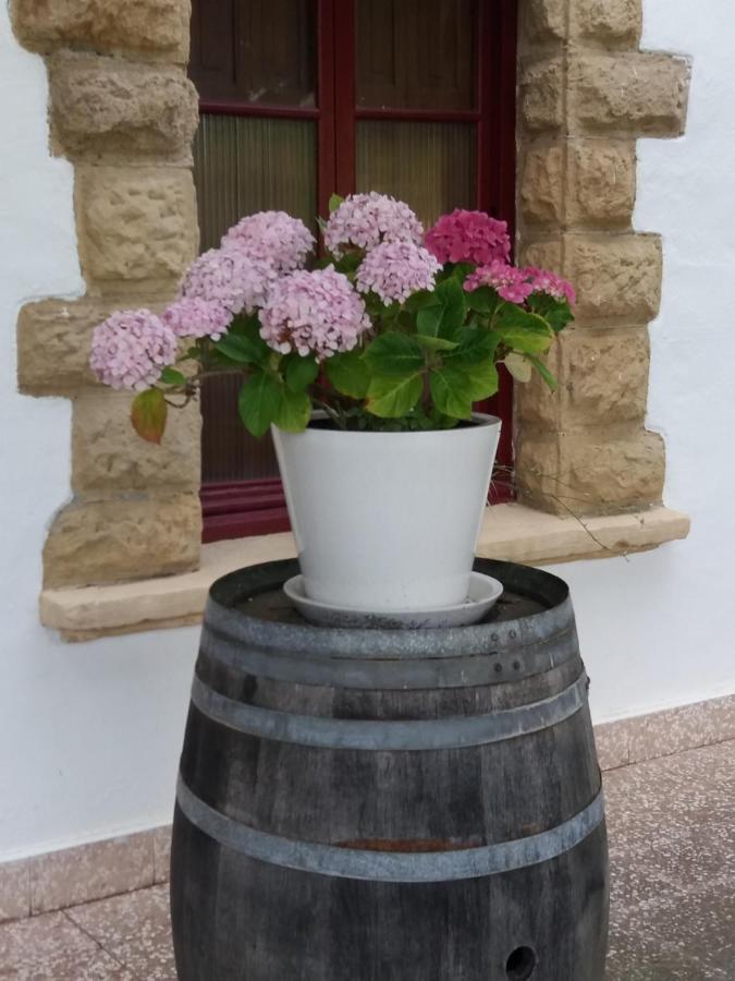 Cr Luarri Guest house *