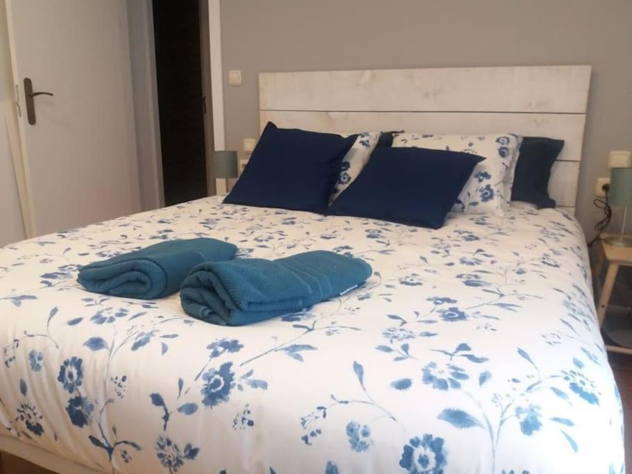 Confort 10 En Gros * San Sebastián