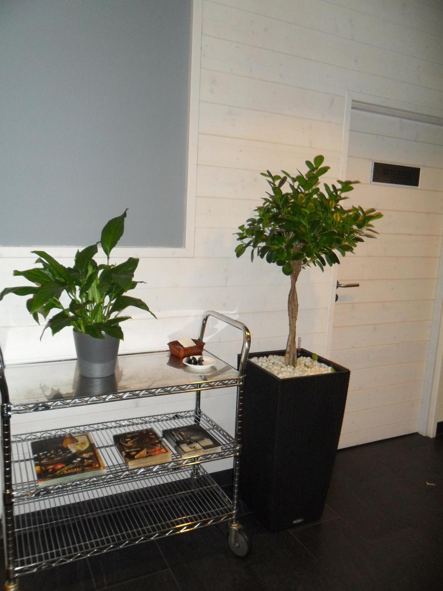Hotel Hotel Anoeta 3*