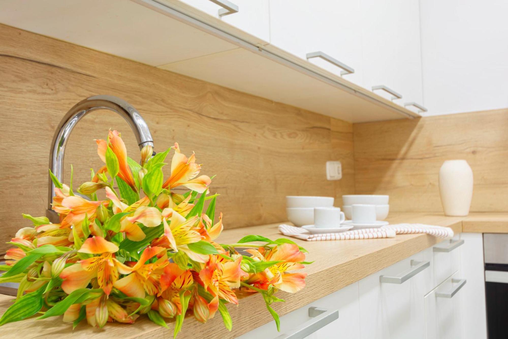 City Center⎮3 Bedrooms⎮free Wifi San Sebastian