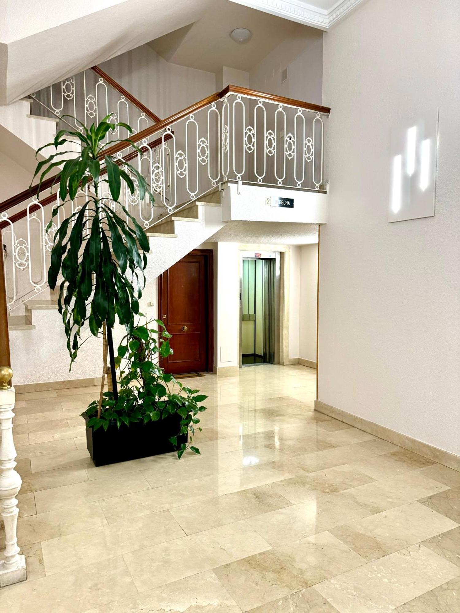 Appartement Pioxii Center