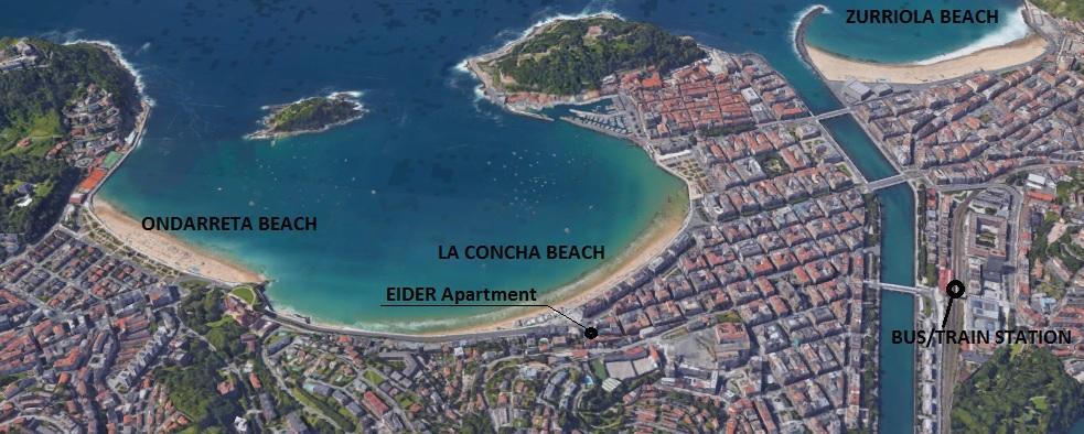 Eider - Basque * San Sebastian