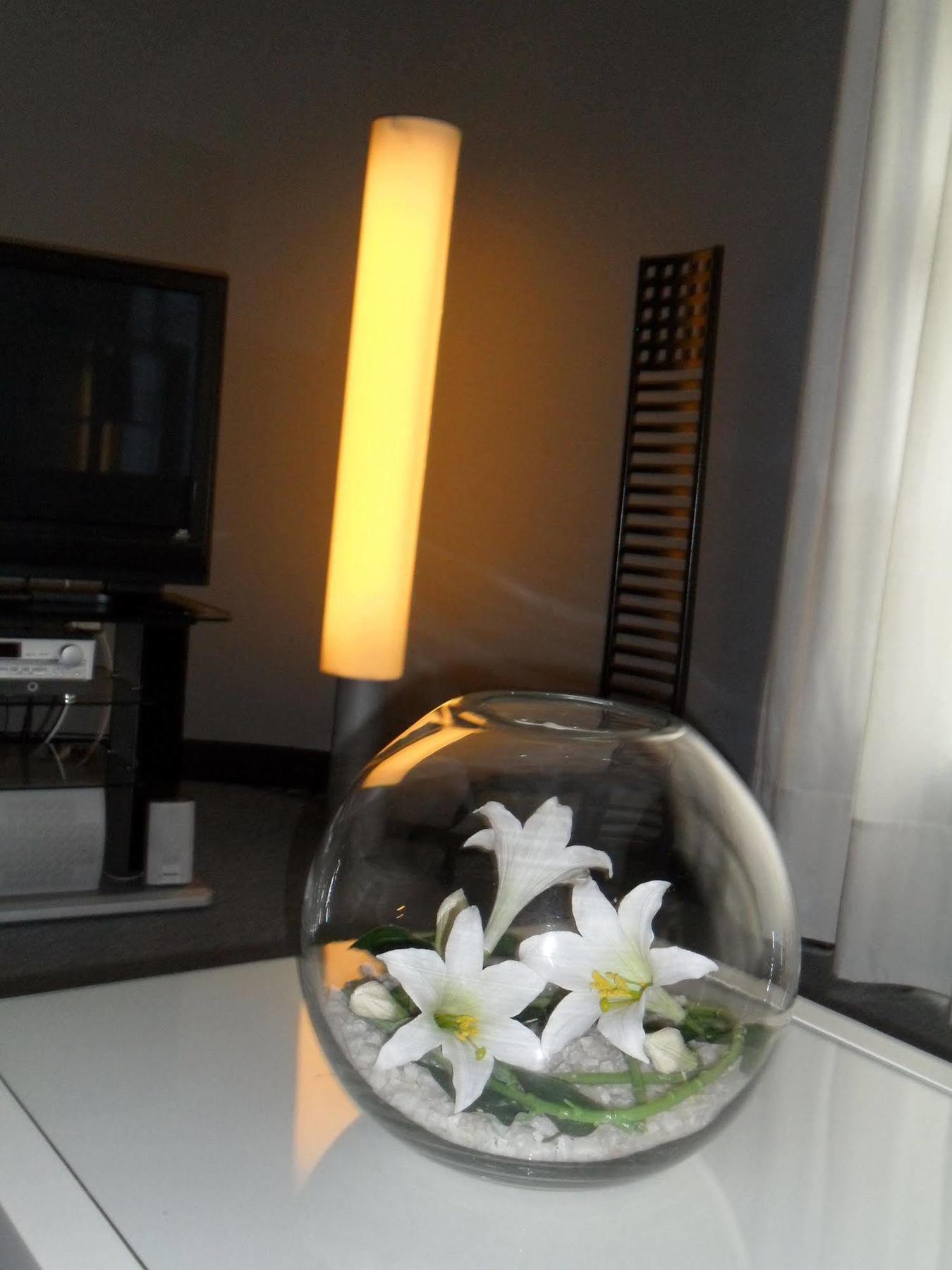 Hotel Anoeta Hotel 3*