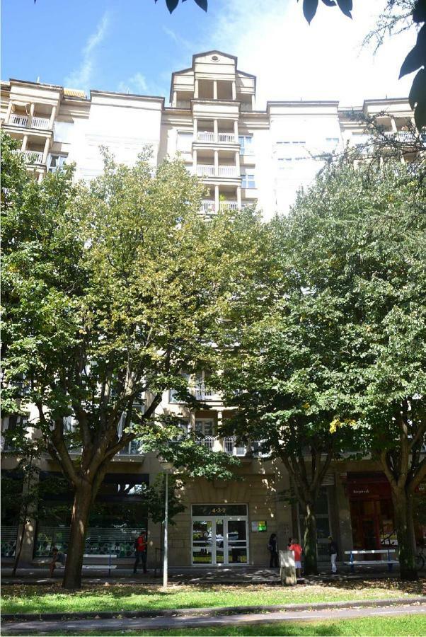 Pioxii Center * San Sebastian