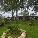 Harrigain
