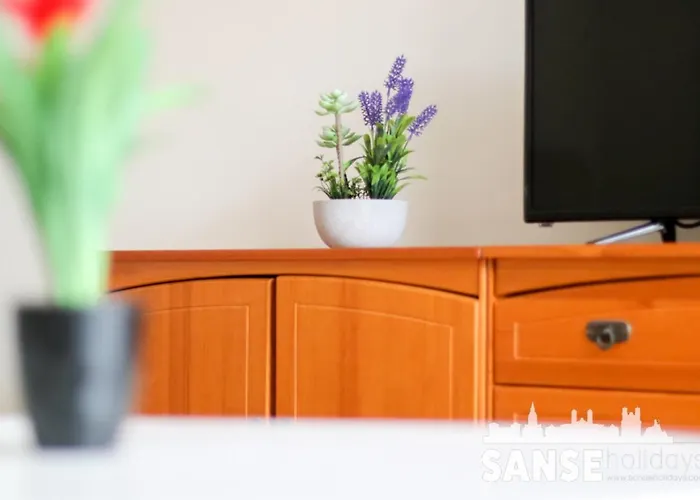 Apartamento Colon By Sanse Holidays