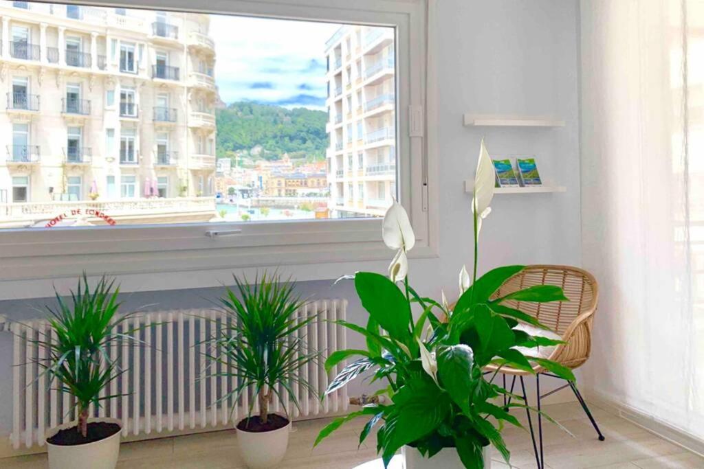 Apartment New Gorgeous - Beachfront - 3 Bd *