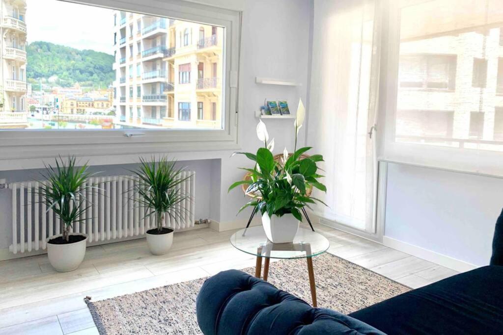 New Gorgeous - Beachfront - 3 Bd Apartment *