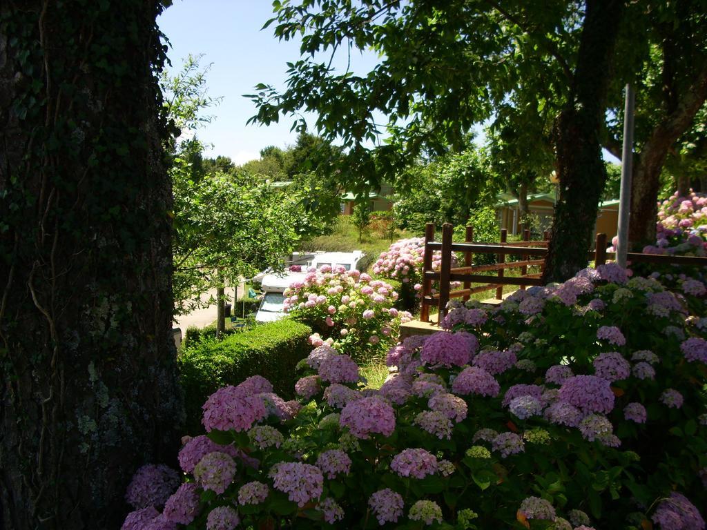 Camping Wecamp Saint-Sébastien