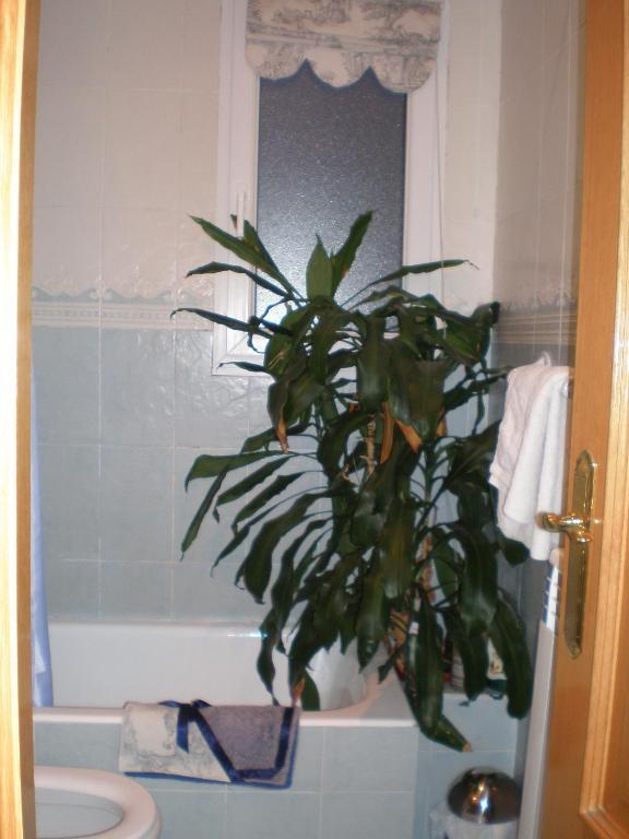 Guest house Isabella San Sebastian