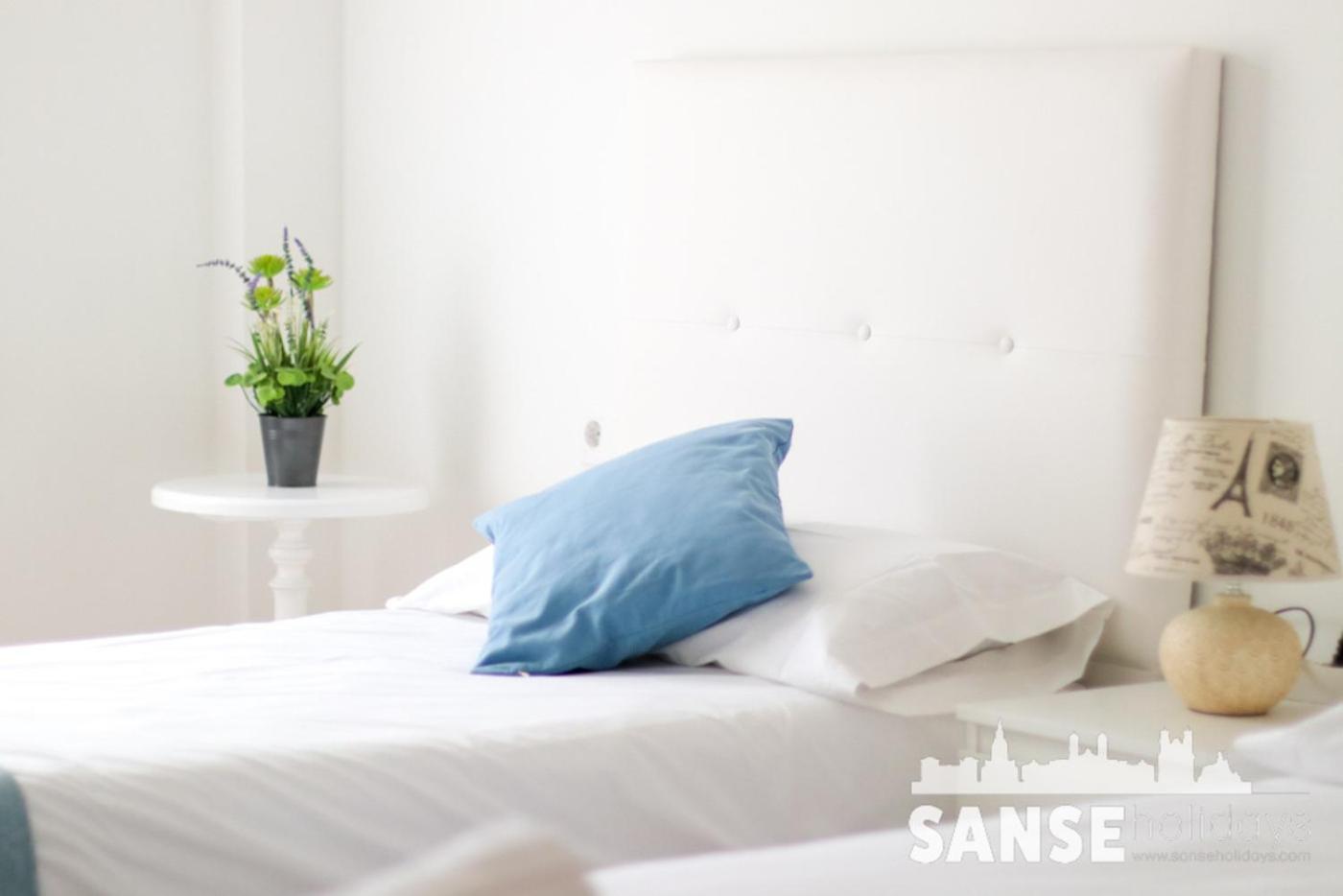 Colon By Sanse Holidays Apartment San Sebastian