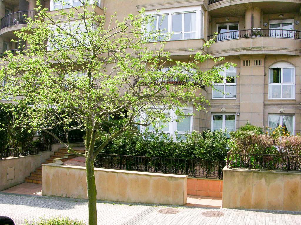 Apartment Emyrent I Ondarreta
