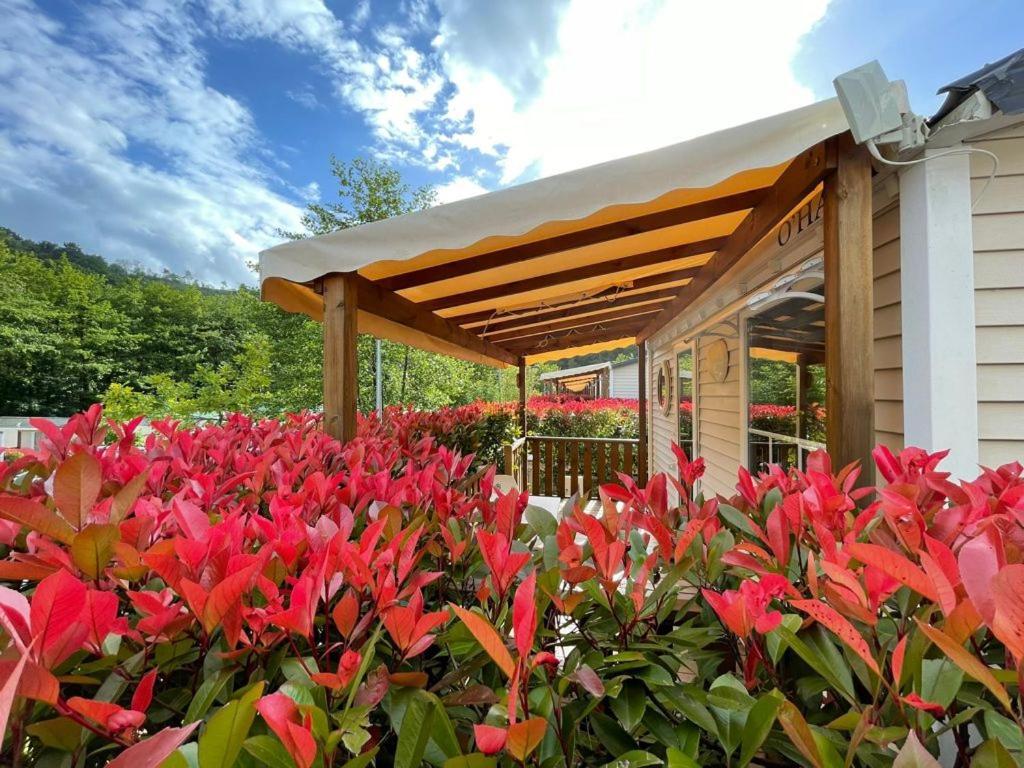 Camping Igara De