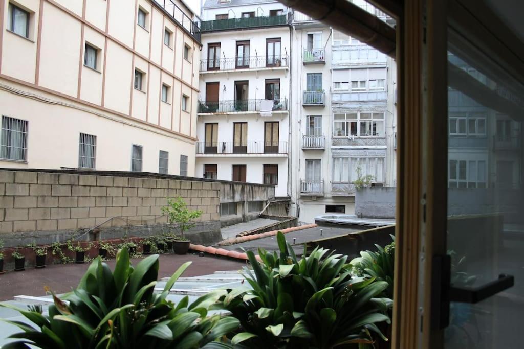 Apartment La Casa Del Arbol San Sebastián