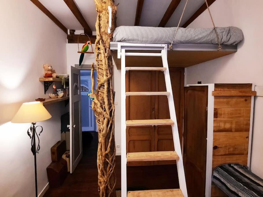 La Casa Del Arbol San Sebastián
