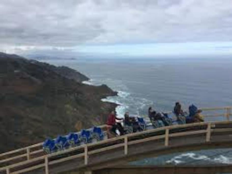 Luminosa Y Con Terraza: Playa Surf Cine Ess01935